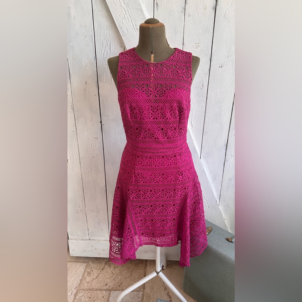 Their magenta, lace, handkerchief hemline, sleeveless mini dress